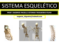Sistema esqueletico.pdf